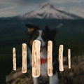 Natural Coffee Wood Dog Chew Stick