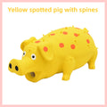 Latex Squeaking spiky pig