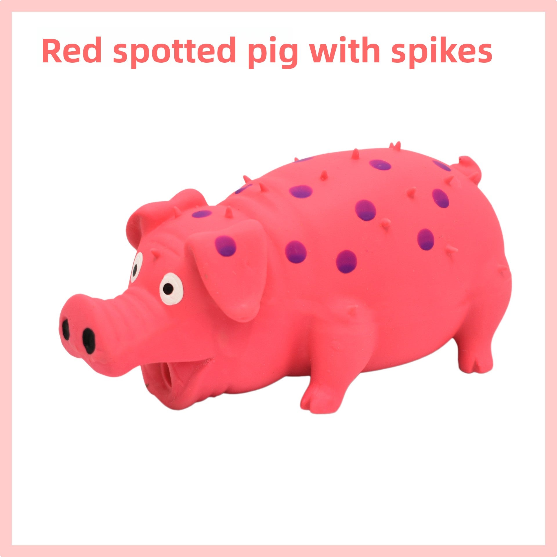 Latex Squeaking spiky pig